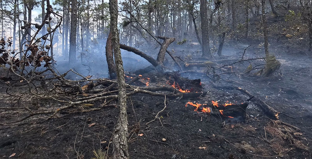 Altas temperaturas quemas para sembrar y pirómanos disparan incendios