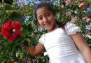 Allison Nahomy Argueta Villalta de 9 años no fue asesinada por su mascota